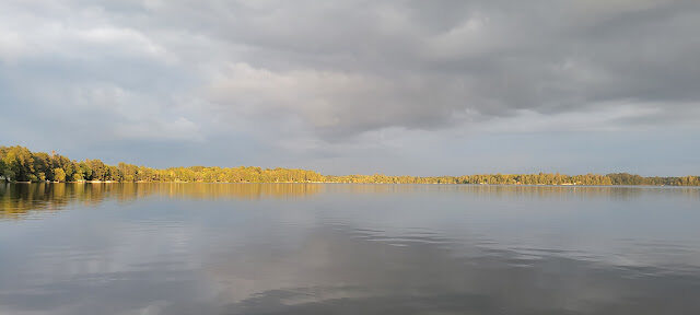 The gold autumn treeline mirrored perfectly in glass-calm water under grey skies